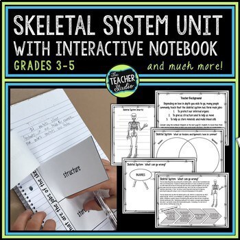 Skeletal System Worksheets and Interactive Notebook Activities for Grades 3-5